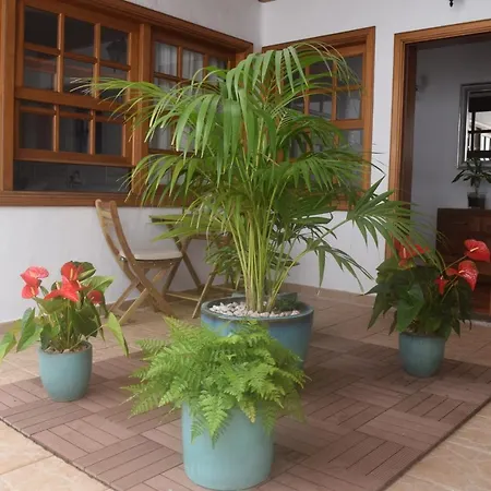 Guanapay En El Centro De Teguise