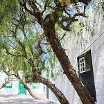 Guanapay En El Centro De Nyaraló